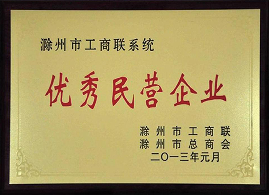 優(yōu)秀民營企業(yè)